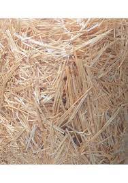 Barley Straw